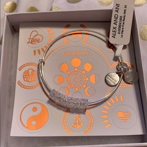 Alex and Ani storm fine rock bangle